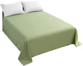 Sfoothome Top Sheet Single by Sfoothome