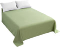 Sfoothome Top Sheet Single by Sfoothome