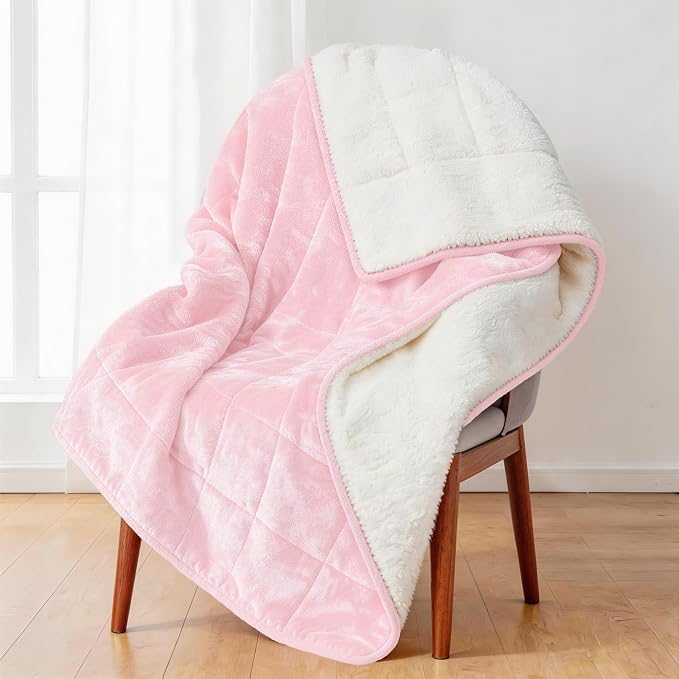 Alomidds Weighted Blanket Queen Size 15lbs 60x80 inches, Sherpa Weighted by Alomidds