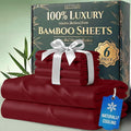 DECOLURE 100% Viscose Derived from Bamboo Sheets Queen Size by DECOLURE