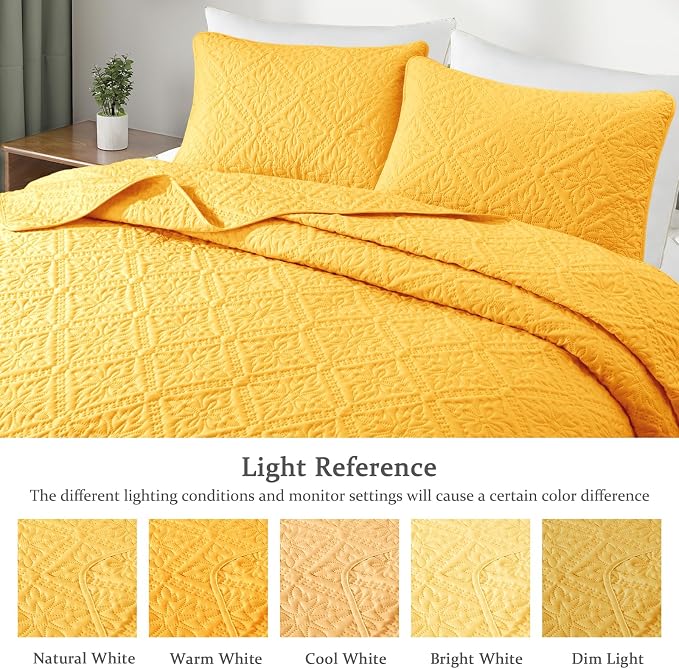 Exclusivo Mezcla Queen Quilt Bedding Set, Lightweight Soft Bedspreads Coverlets - Image 3