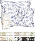 Miss Adola 2 Pack Silk Pillowcase by MissAdola