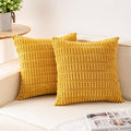 Aegero Pack of 2 Corduroy Decorative Throw Pillow Covers 22x22 Inch Soft by Unknown