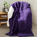 Aemicion Weighted Blanket Queen Size 20lbs, Dual Sided Cozy Fluffy Sherpa Heavy by Aemicion