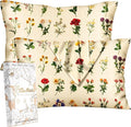 Miss Adola 2 Pack Silk Pillowcase by MissAdola