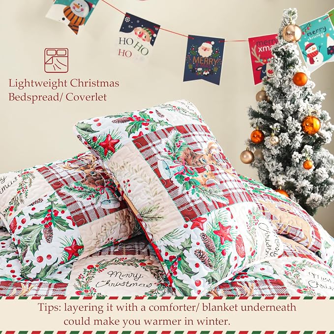 Exclusivo Mezcla Reversible Christmas Quilts Queen Size - Image 5
