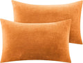 BEDELITE Flannel Pillowcases Standard Set of 2, Super Soft Fleece Pillow Case by BEDELITE