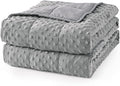 Mr. Sandman Weighted Blanket for Adults, Minky Dots Heavy Blanket for Woman by MrSandman