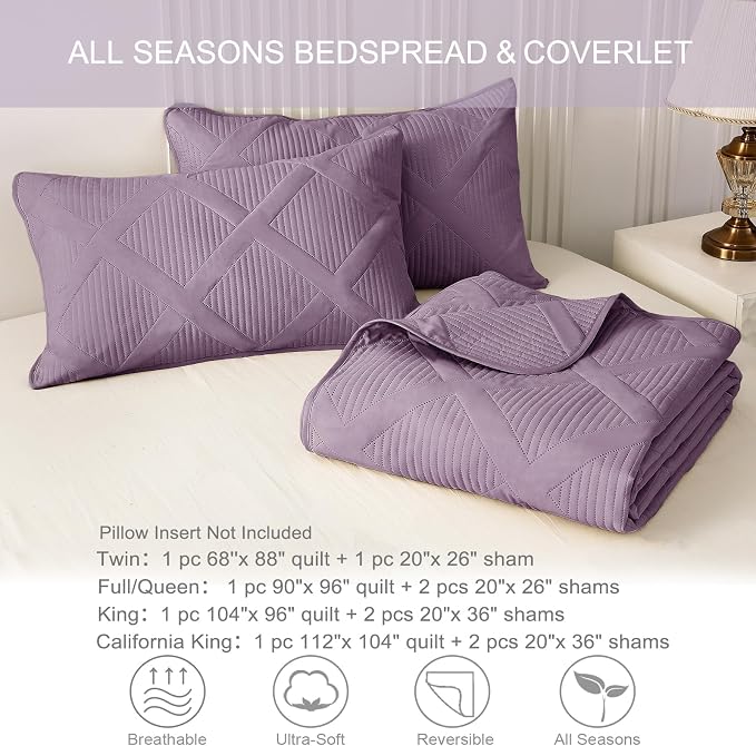 Exclusivo Mezcla Full Queen Size Quilt Set - Image 6