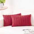Aegero Pack of 2 Corduroy Decorative Throw Pillow Covers 12x24 Inch Soft by Unknown