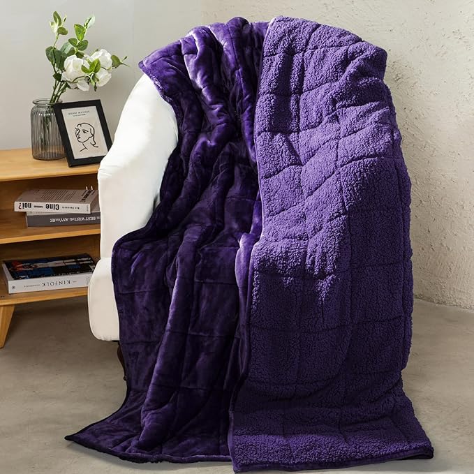 Aemicion Weighted Blanket Queen Size 15lbs, Dual Sided Cozy Fluffy Sherpa Heavy by Aemicion