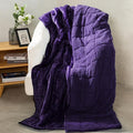 Aemicion Weighted Blanket Queen Size 15lbs, Dual Sided Cozy Fluffy Sherpa Heavy by Aemicion