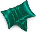 Satin Pillowcases with Zipper （20x26）, Standard Size Pillowcases Set of 2 by HommxJF