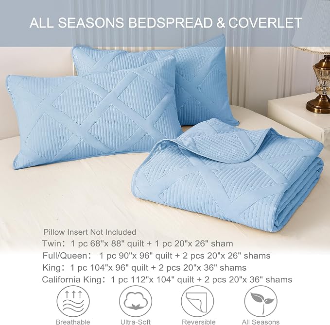 Exclusivo Mezcla Full Queen Size Quilt Set - Image 6