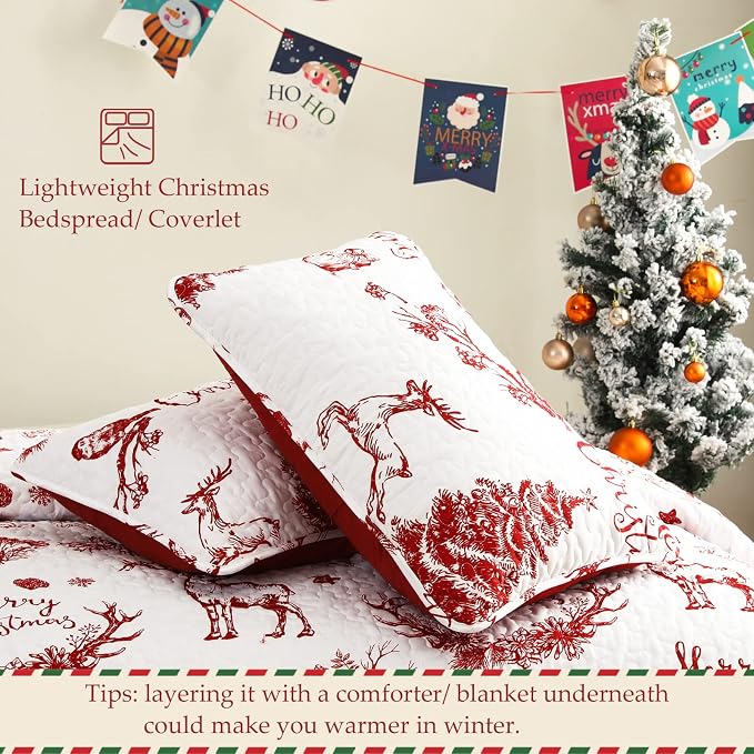 Exclusivo Mezcla Reversible Christmas Quilts Twin Size - Image 5