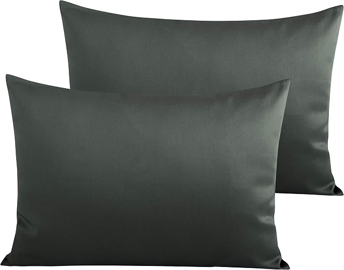 NTBAY Egyptian Cotton Queen Pillowcases by NTBAY