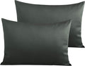 NTBAY Egyptian Cotton Queen Pillowcases by NTBAY