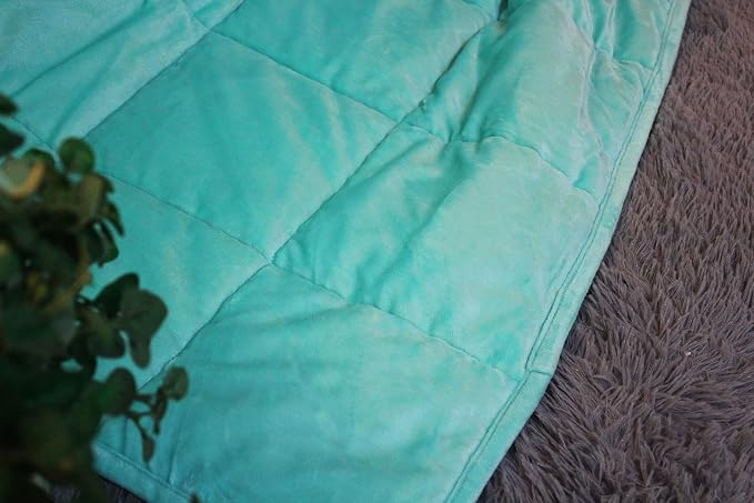 ALANSMA Reversible Weighted Blanket - Image 6