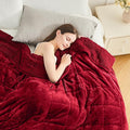 Cottonblue Sherpa Weighted Blanket by Cottonblue