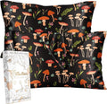 Miss Adola 2 Pack Silk Pillowcase by MissAdola