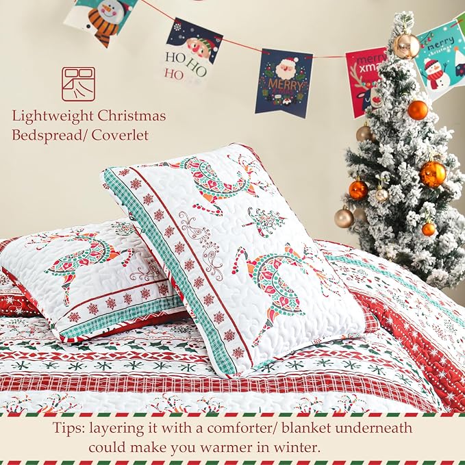 Exclusivo Mezcla Reversible Christmas Quilts Queen Size - Image 5