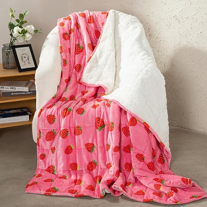 Aemicion Weighted Blanket Queen Size 20 Lbs 60x80 Inches, Ultra Soft by Aemicion