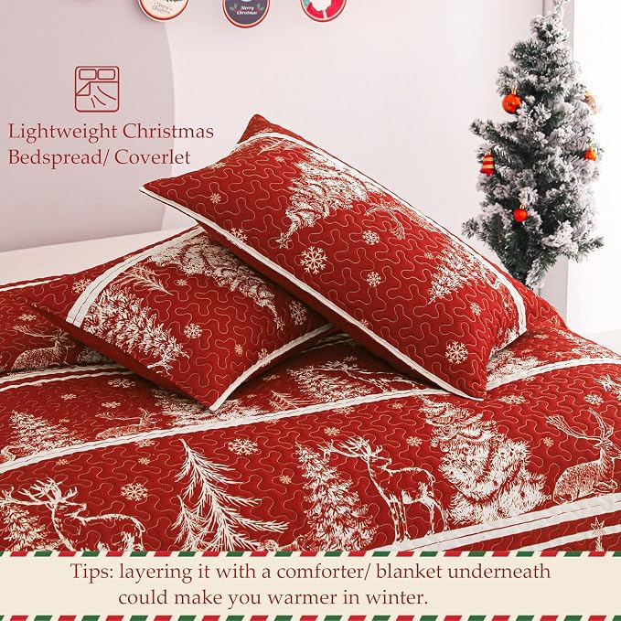 Exclusivo Mezcla Reversible Christmas Quilts Queen Size - Image 5