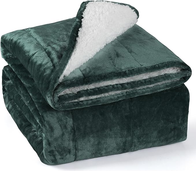 Alomidds Weighted Blanket Queen Size 20lbs 60 x 80 inches, Adult Weighted by Alomidds