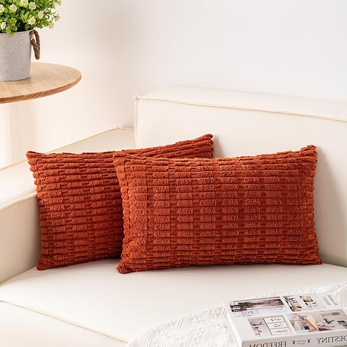 Aegero Pack of 2 Corduroy Decorative Throw Pillow Covers 12x24 Inch Soft by Unknown