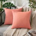 MIULEE Pack of 2 Decorative Outdoor Solid Waterproof Throw Pillow Covers Spring by MIULEE