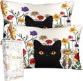 Miss Adola 2 Pack Silk Pillowcase by MissAdola