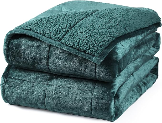 Aemicion Plush Sherpa Weighted Blanket Queen Size 15lbs by Aemicion
