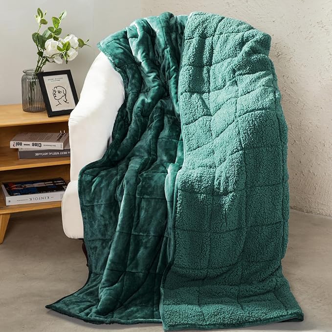 Aemicion Fleece Sherpa Twin Weighted Blanket 15lbs by Aemicion