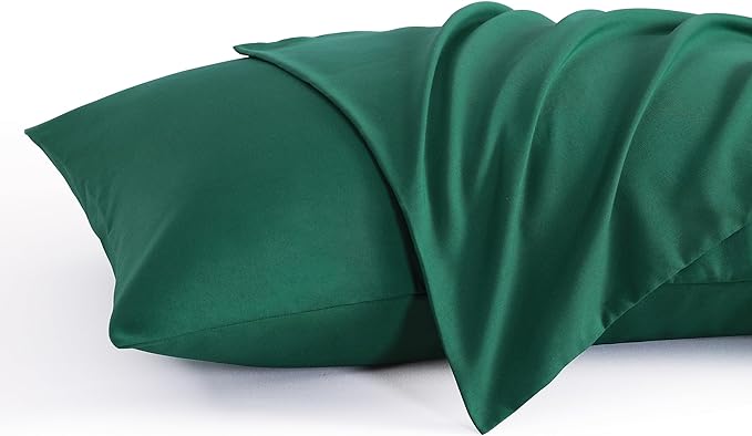 NTBAY Queen Pillow Cases Set of 2, 2 Pack Brushed Microfiber Pillow Cases by NTBAY