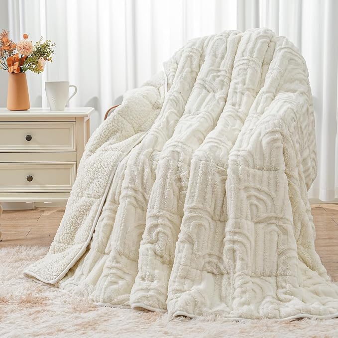 Wemore Jacquard Fleece Weighted Blanket Queen Size 60" x 80" 20lbs, Ultra Soft by WemoreDirect