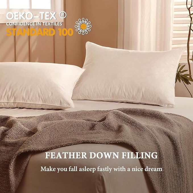 BHZ Down Feather Standard/Queen Pillows Set of 2 Pack, Luxury Hotel Collection - Image 5