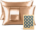 Pure Bedding Satin Pillowcase 2 Pack by PureBedding