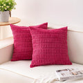 Aegero Pack of 2 Corduroy Decorative Throw Pillow Covers 20x20 Inch Soft by Unknown