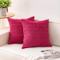 Aegero Pack of 2 Corduroy Decorative Throw Pillow Covers 24x24 Inch Soft by Unknown
