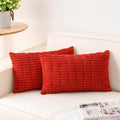 Aegero Pack of 2 Corduroy Decorative Throw Pillow Covers 12x20 Inch Soft by Unknown