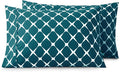 Elegant Comfort Luxury Ultra-Soft 2-Piece Pillowcase Set by ELEGANTCOMFORT