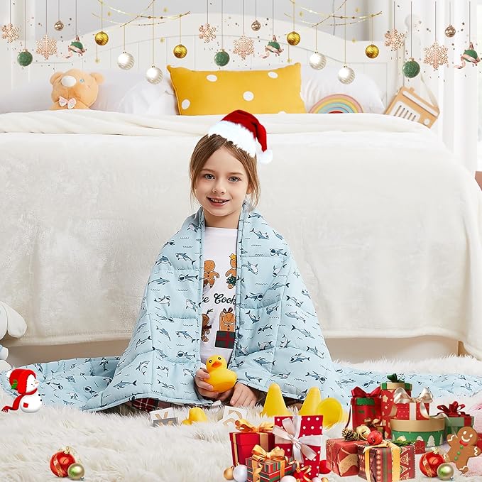 HOSUKKO Weighted Blanket - Image 4