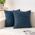 Aegero Pack of 2 Corduroy Decorative Throw Pillow Covers 16x16 Inch Soft by Unknown