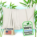 Pillow Cases - 100% Viscose Derived from Bamboo - Cooling Pillowcase - Queen by VeganSilk