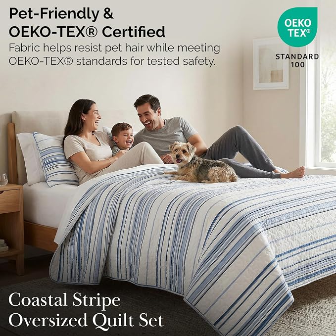 Southshore Fine Living, Inc. Oversized King Quilt Set, All Season Striped Blue - Image 6