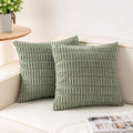 Aegero Pack of 2 Corduroy Decorative Throw Pillow Covers 22x22 Inch Soft by Unknown
