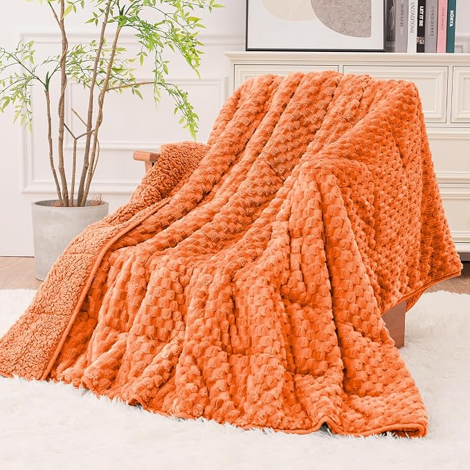 Super Fuzzy Soft Fleece Sherpa Weighted Blanket 15 lbs by EazfyPro