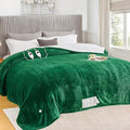 greenoak Heated Blanket Electric King Size 100"X90" Dual Control, Heating by Greenoak