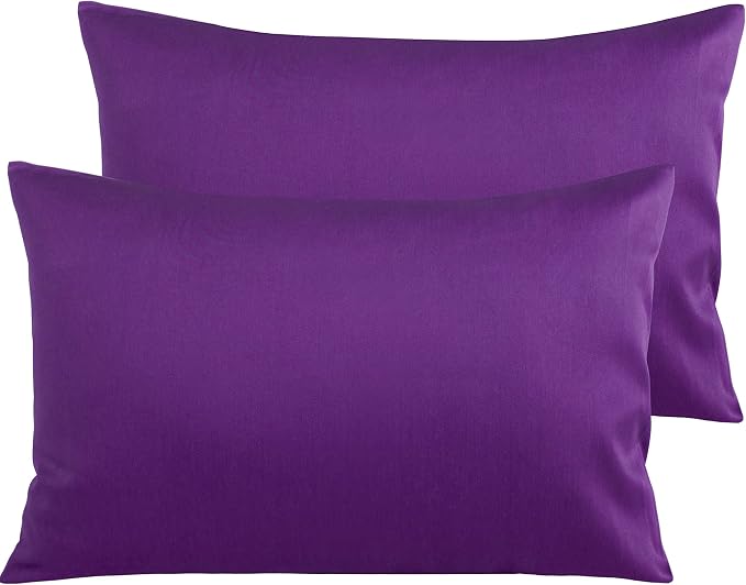 NTBAY Egyptian Cotton Queen Pillowcases by NTBAY