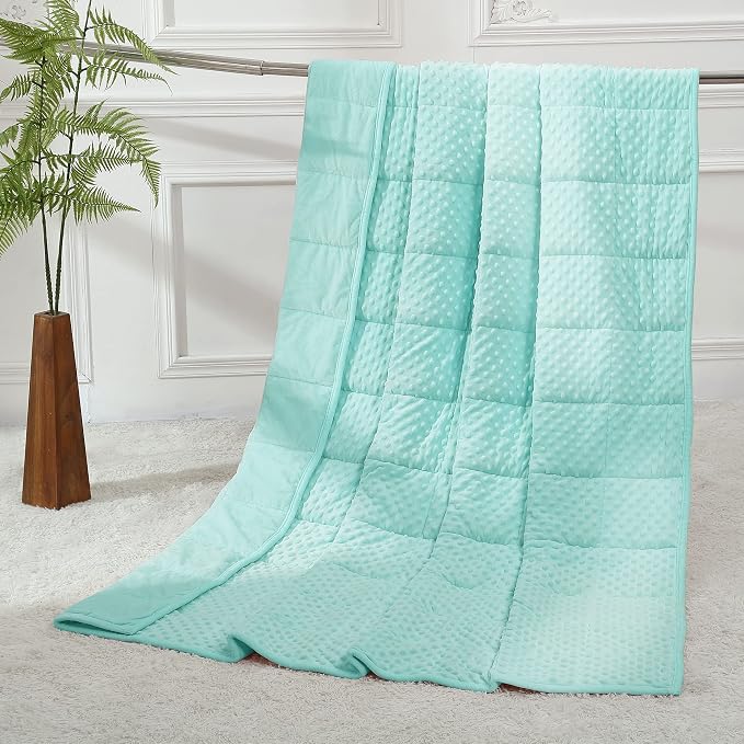 Alomidds Weighted Blanket, Luxury Velvet Heavy Blankets by Alomidds